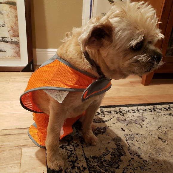 Reflective Dog Safety Vest - Picture 2 of 12